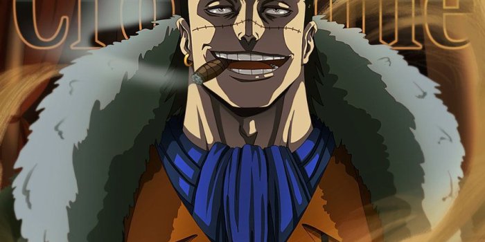 896x892 Crocodile One Piece Wallpapers