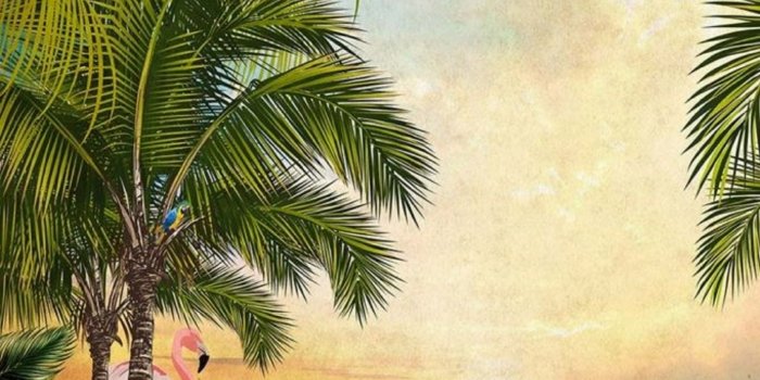 1663x1663 INSTABILELAB WALLPAPER SAMOA