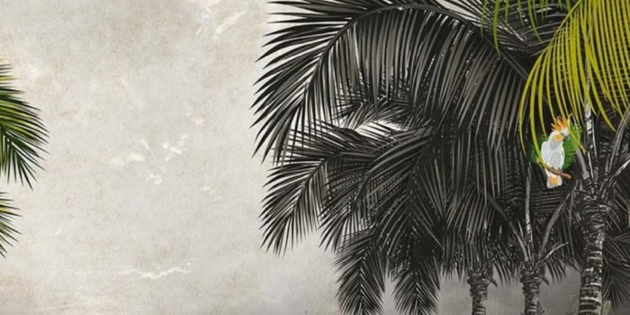 1663x1663 INSTABILELAB WALLPAPER SAMOA