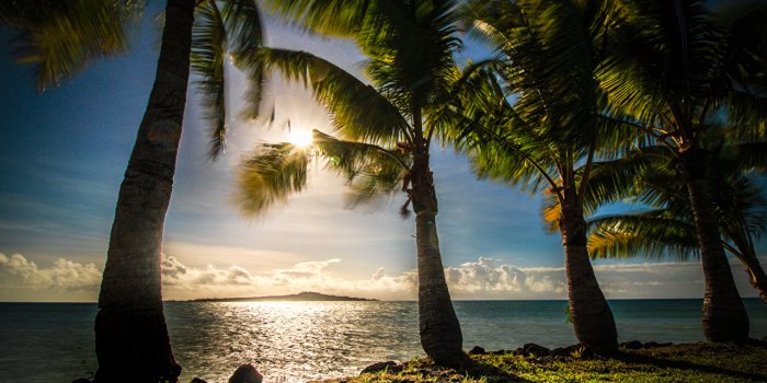 1280x847 Desktop Wallpapers Samoa Nature Palms