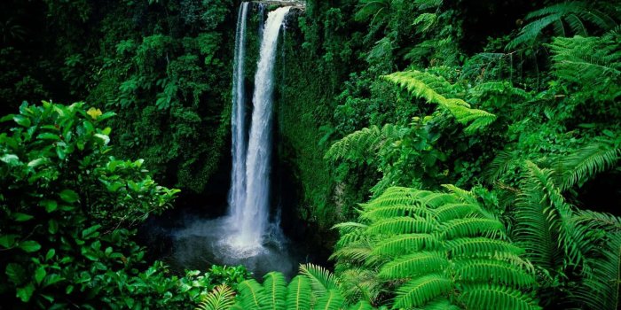 1920x1200 Download Sopoaga Falls Samoa Waterfall