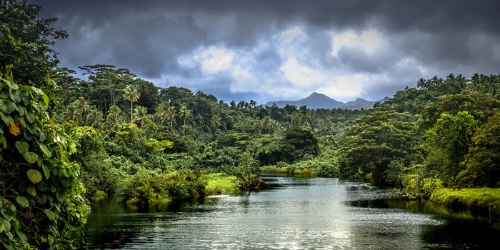 1920x1080 Desktop Wallpapers Samoa Nature Tropics