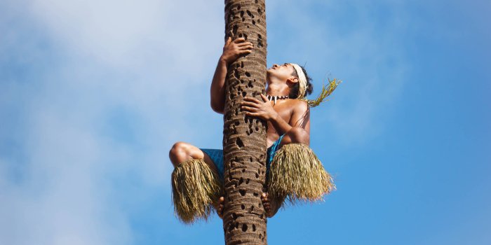 1920x1280 Samoa Native On Coconut Tree Wallpaper