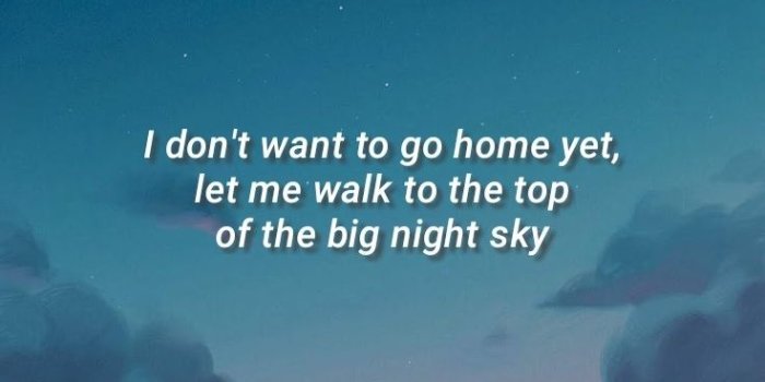 736x1308 Mitski wallpaper | Pretty words, Lyrics