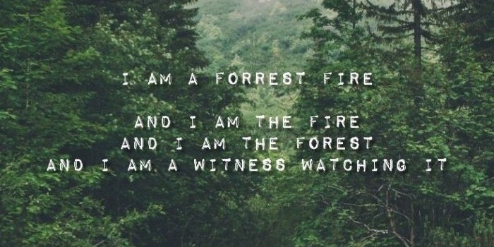 733x1302 Mitski Wallpaper | Euphoniums, Quotes