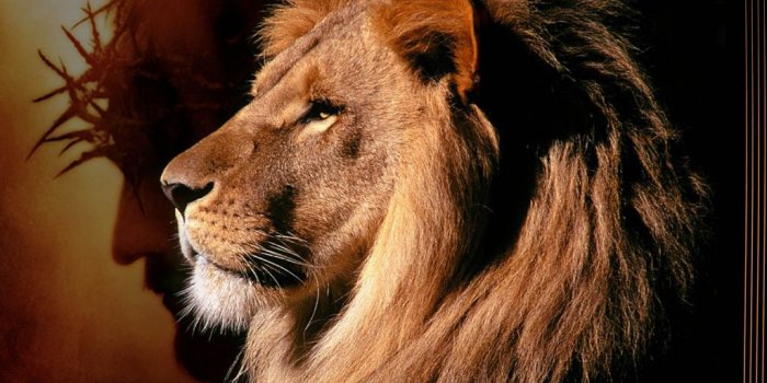 1024x768 Lion of Judah - Profile Picture