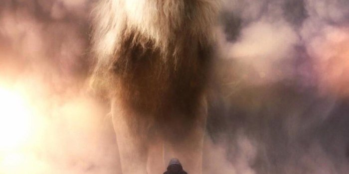 1000x1250 Giant animals, Lion wallpaper