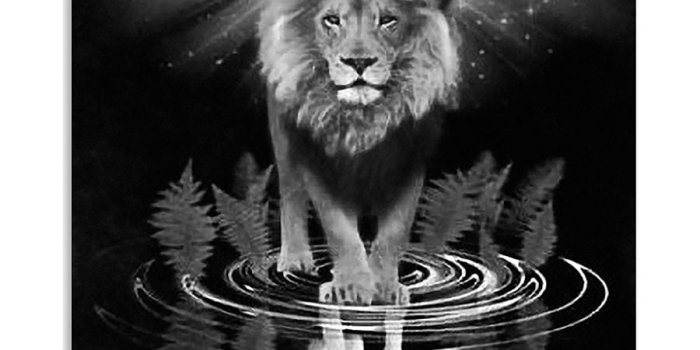 900x1125 Jesus Lion And Lamb The Perfect