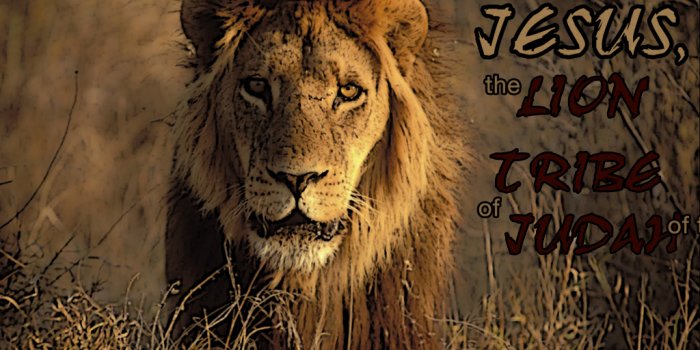 1024x768 The Lion! | Christian Wallpapers