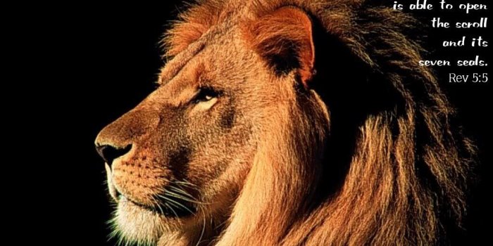 1024x768 The Lion of Judah | Coastal Community