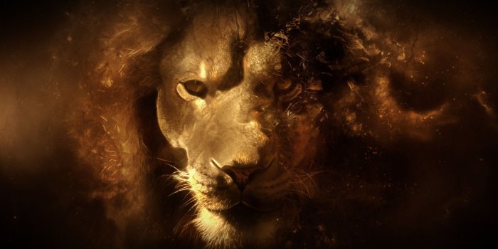 1920x1080 Lion God Wallpapers