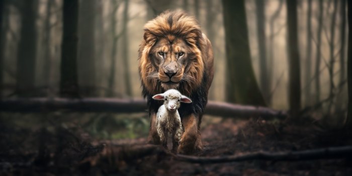 3000x1422 Lamb, Christ, Jesus, God, Prophecy