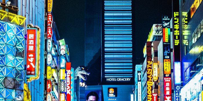 3000x4499 50,000+ Neo Tokyo Pictures | Download