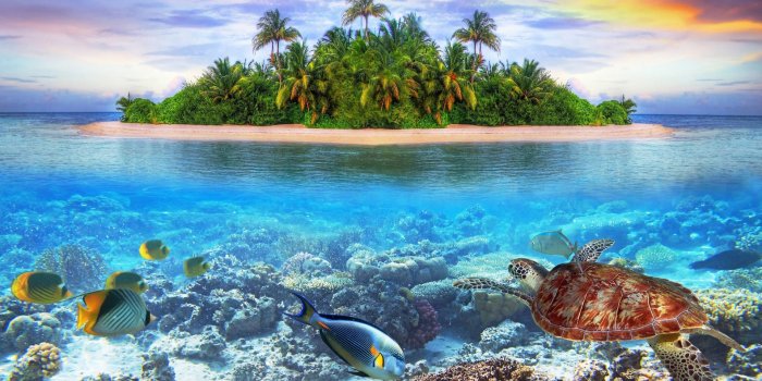 1920x1080 100+] Maldives Wallpapers | Wallpapers.com
