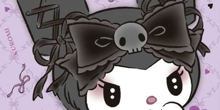 736x1594 Kuromi Wallpaper | WhatsPaper