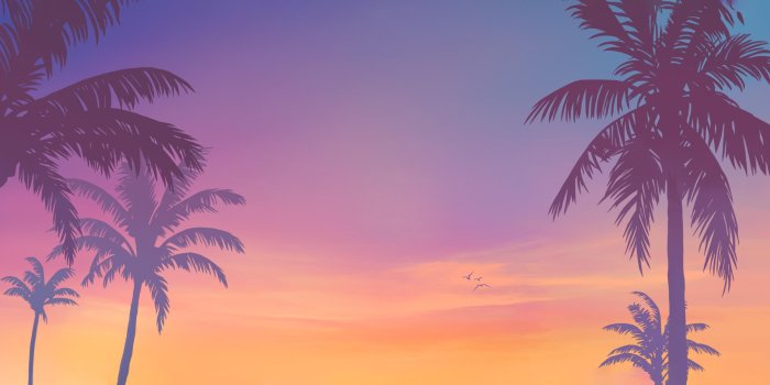 3440x1440 Announcement post wallpapers : r/GTA6