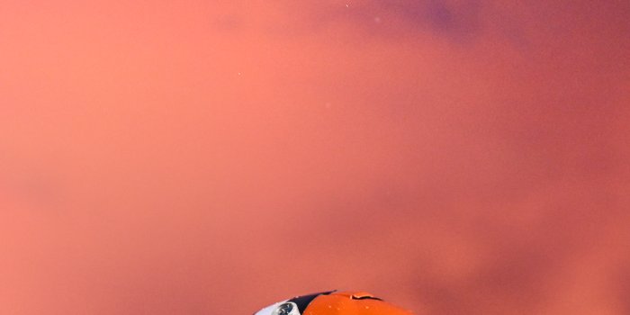 1170x2532 Browns Mobile Wallpapers | Cleveland