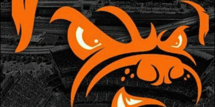 1242x2208 Cleveland Browns Wallpaper | HD and 4K