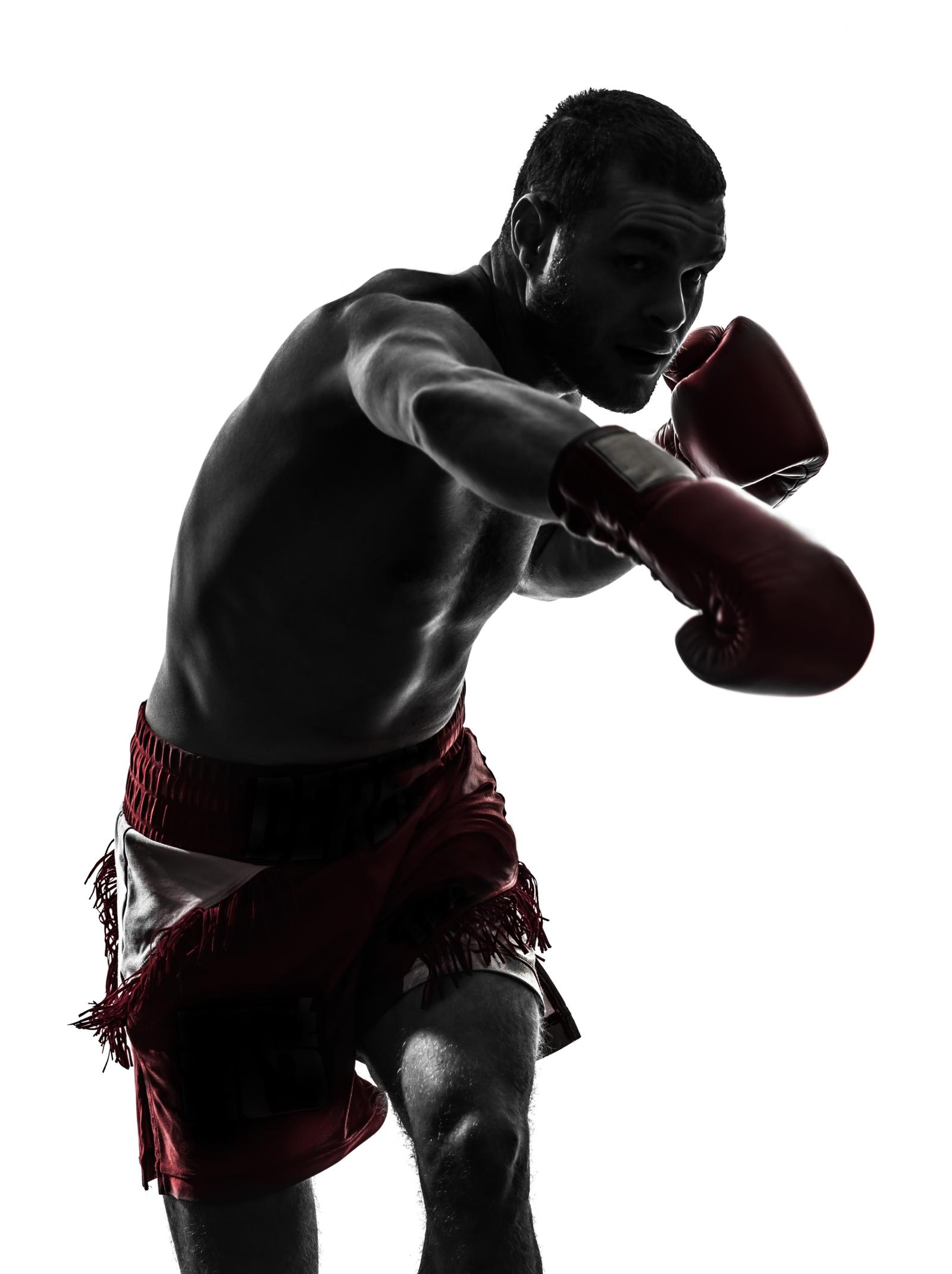 2391x3200 The Boxer Wallpaper Mural - Murals Your Way