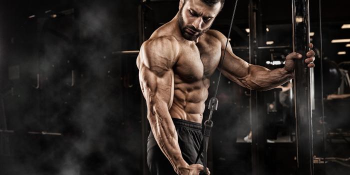 1280x853 Desktop Wallpapers Men Muscle Workout