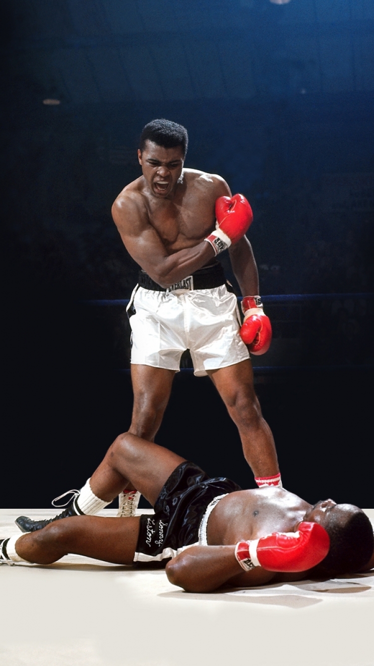 750x1334 Mobile wallpaper: Sports, Boxing