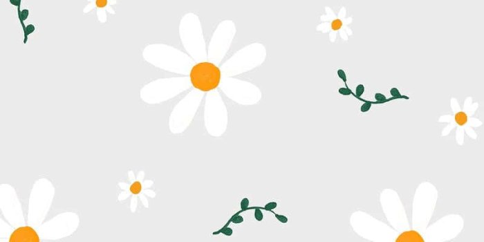 800x1200 100+] Cute Flower Backgrounds