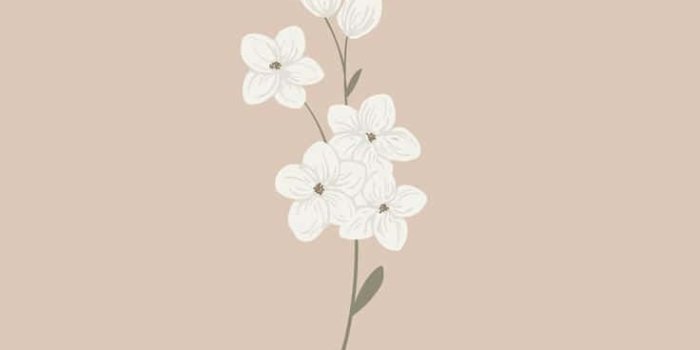 736x1308 Cute Aesthetic Flower HD Wallpapers