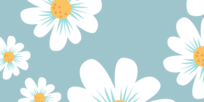 1080x1920 Daisy wallpaper, Cute flower wallpapers