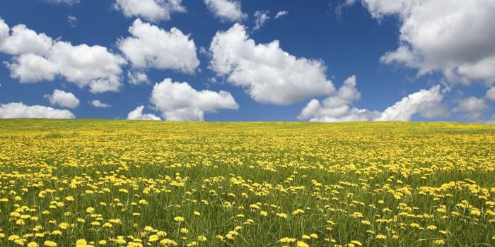 1920x1200 HD Wallpaper | Wallpapers, Backgrounds