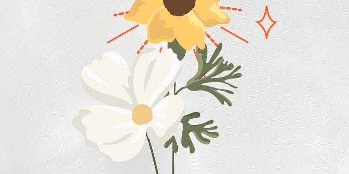 800x1422 Floral iPhone Wallpapers | Download