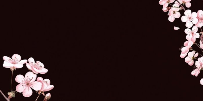 800x1422 Floral iPhone Wallpapers | Download