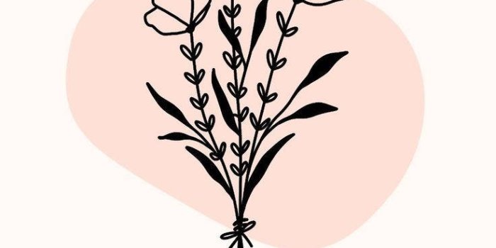 736x1308 Cute Simple Three Flowers Wallpaper