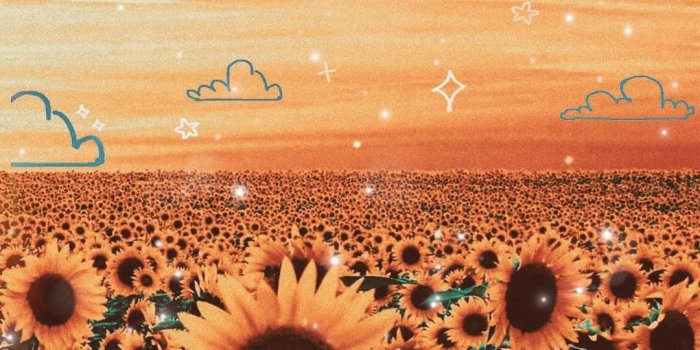 1080x1620 Cute Aesthetic Flower HD Wallpapers