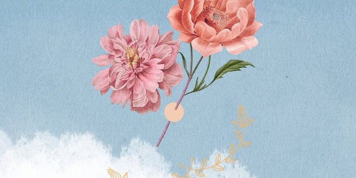 800x1422 Floral iPhone Wallpapers | Download