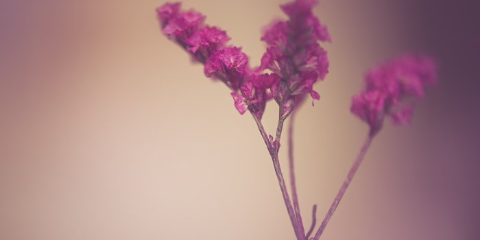 5120x3200 Ultra HD Desktop Background Wallpaper