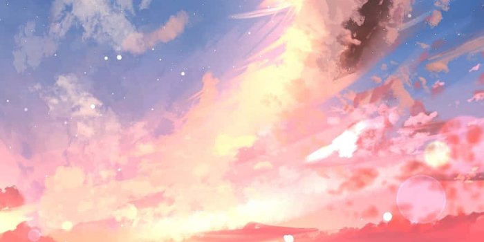 864x1920 beautiful Anime sunset atop