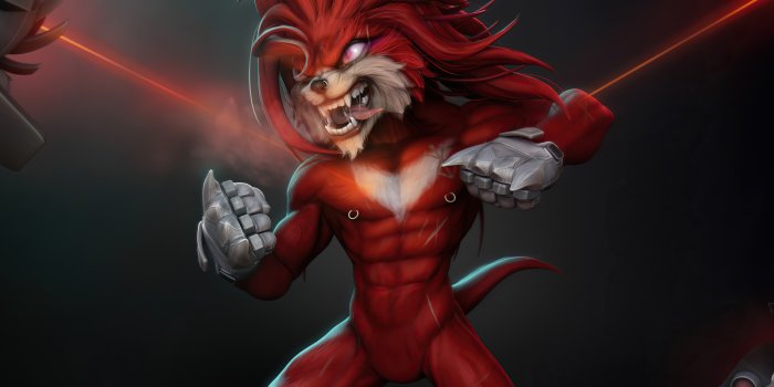 1600x1200 Echidna Wallpaper,1600x1200 Resolution