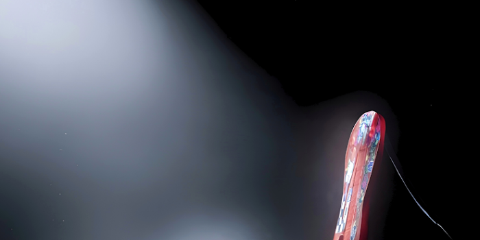 738x1600 Spider-Punk Wallpaper OLED 4K for Phone