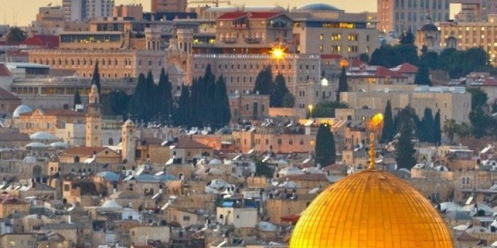 1125x2436 Pin on Logotipo floral