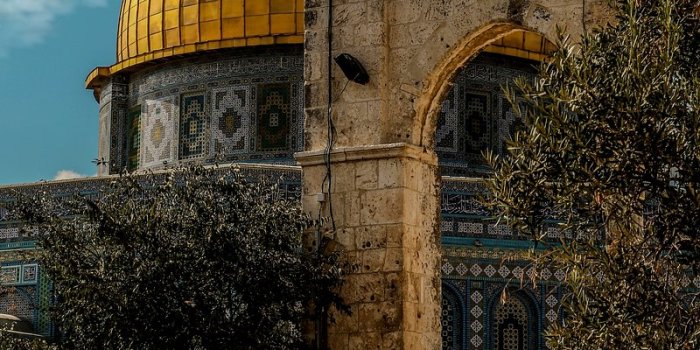 800x1200 Free Photos, PNG Stickers, Wallpapers &