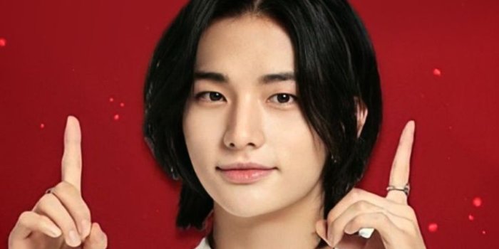 736x1422 Stray Kids Hyunjin Wallpaper | Rap