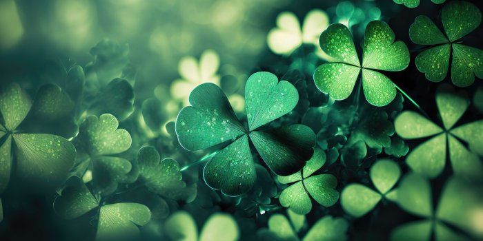 1920x1080 four-leaf clovers 4K Wallpaper