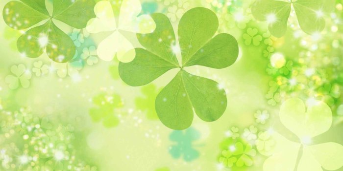 1920x1200 Download free Light Green Clovers St