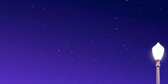 736x1309 La la land #lalaland #lovelynight