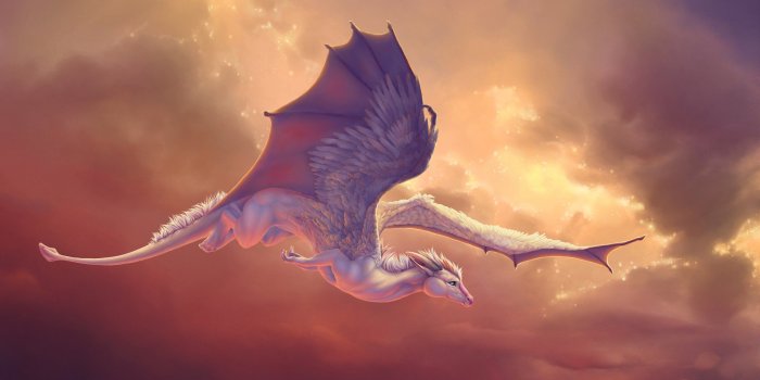 2560x1440 Cute Dragon Wallpapers | Cute dragons
