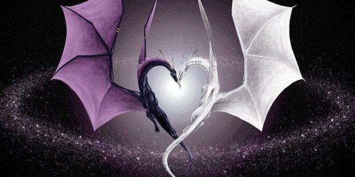 1920x1080 Cutest Baby Dragons Wallpapers