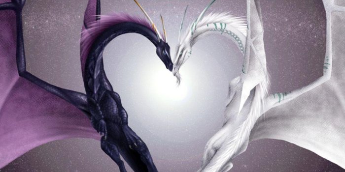 1080x1920 Cute Dragons Wallpapers