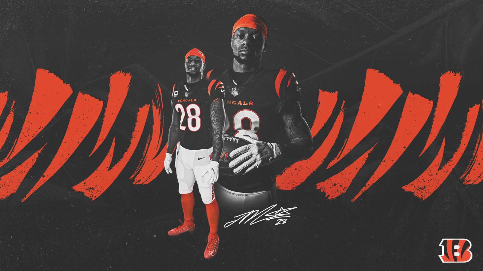 2560x1440 Bengals Wallpapers | Cincinnati Bengals