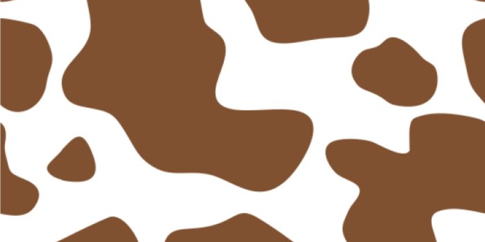 1500x1500 Cow-Print-Wallpaper-Square.jpg – Burg'r Bar