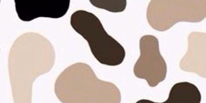 736x1308 Cute cow print Wally